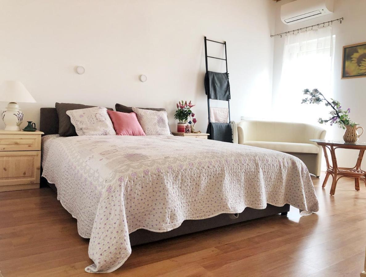 Balaton Apartman ปาลอซนัค ภายนอก รูปภาพ