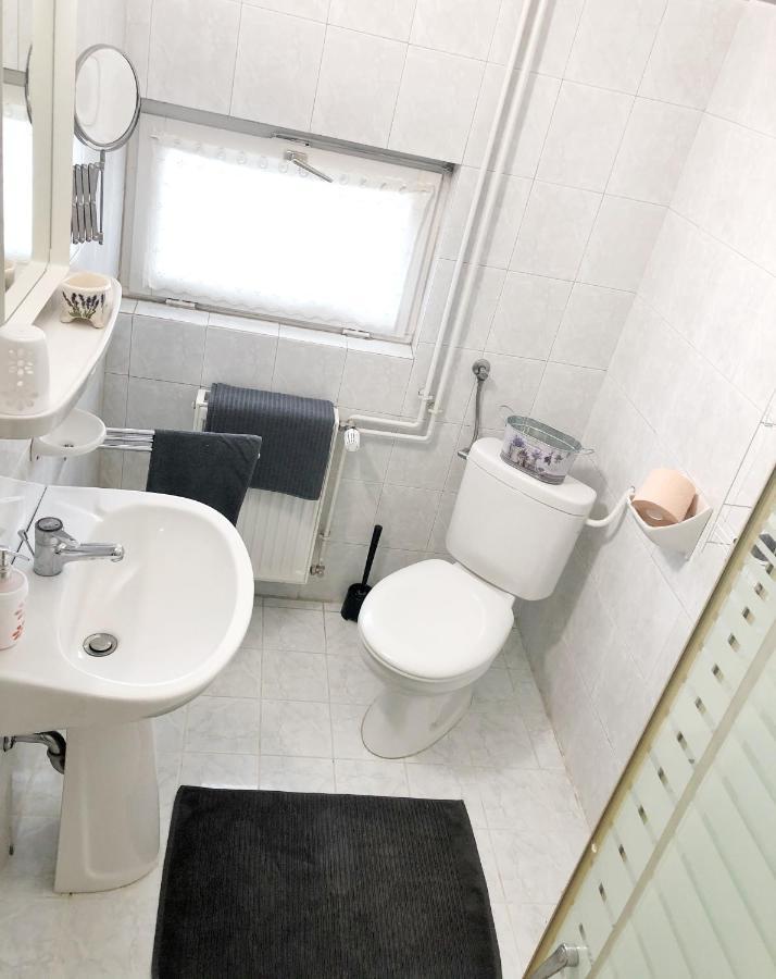 Balaton Apartman ปาลอซนัค ภายนอก รูปภาพ