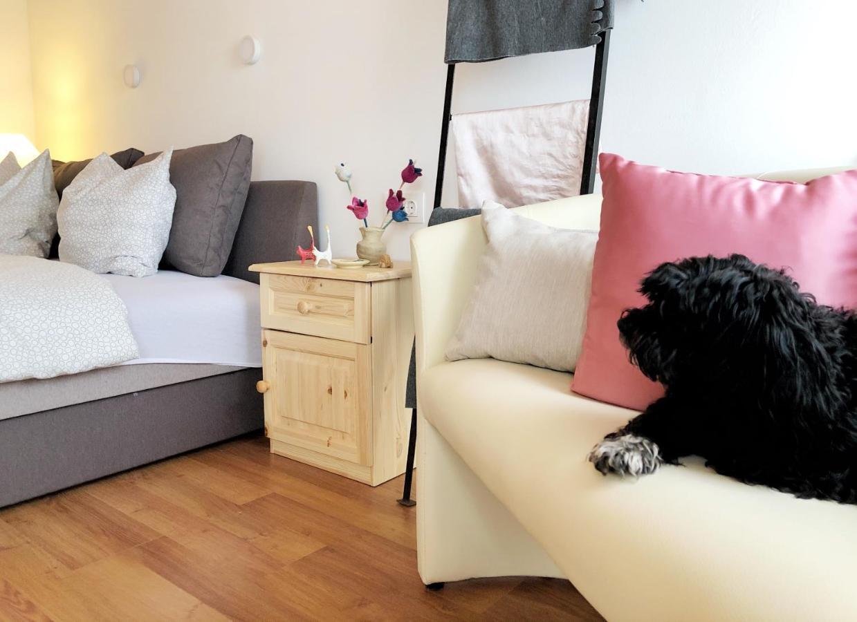 Balaton Apartman ปาลอซนัค ภายนอก รูปภาพ
