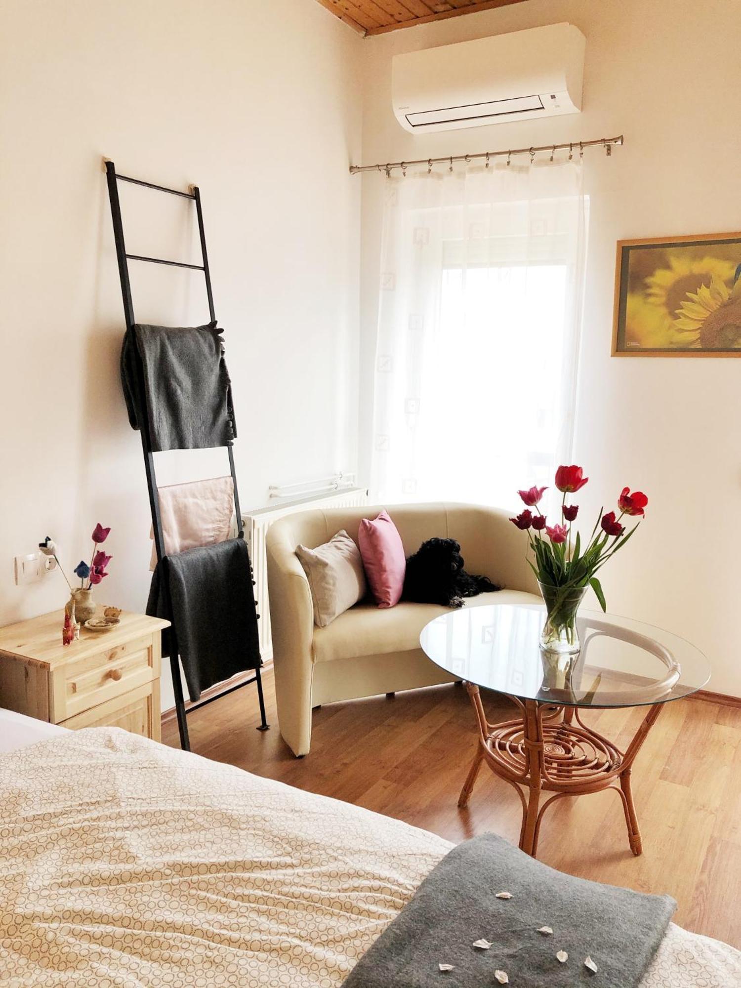 Balaton Apartman ปาลอซนัค ภายนอก รูปภาพ