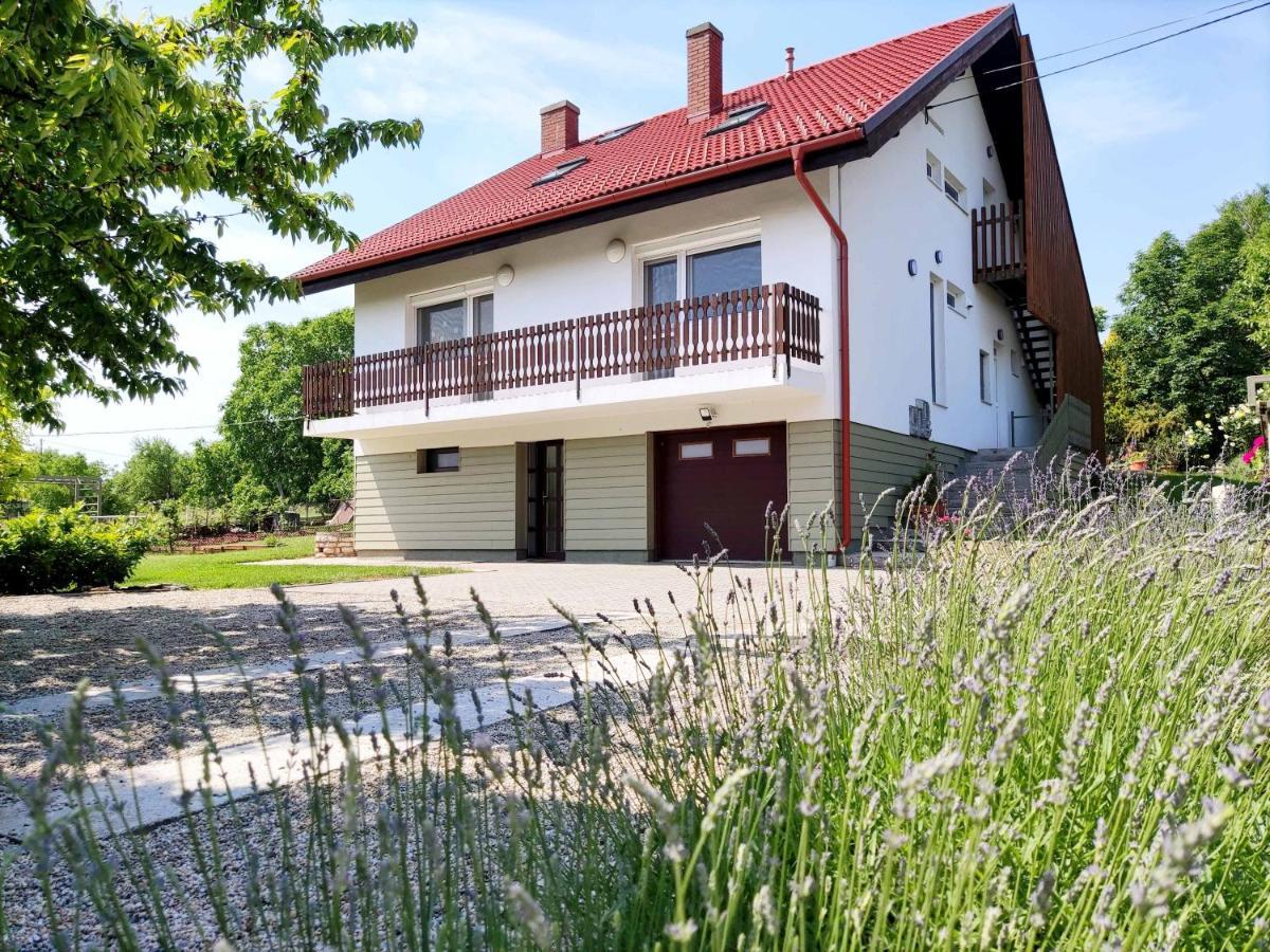Balaton Apartman ปาลอซนัค ภายนอก รูปภาพ