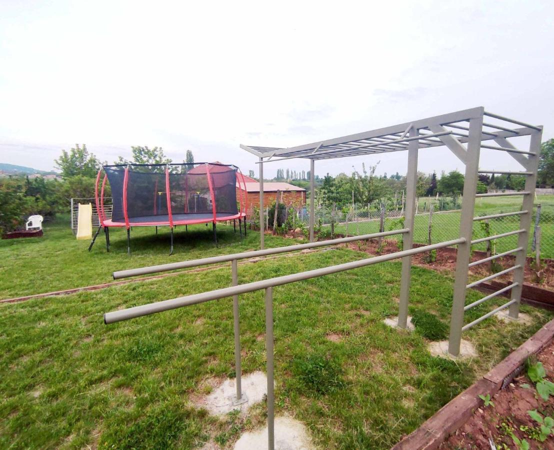 Balaton Apartman ปาลอซนัค ภายนอก รูปภาพ