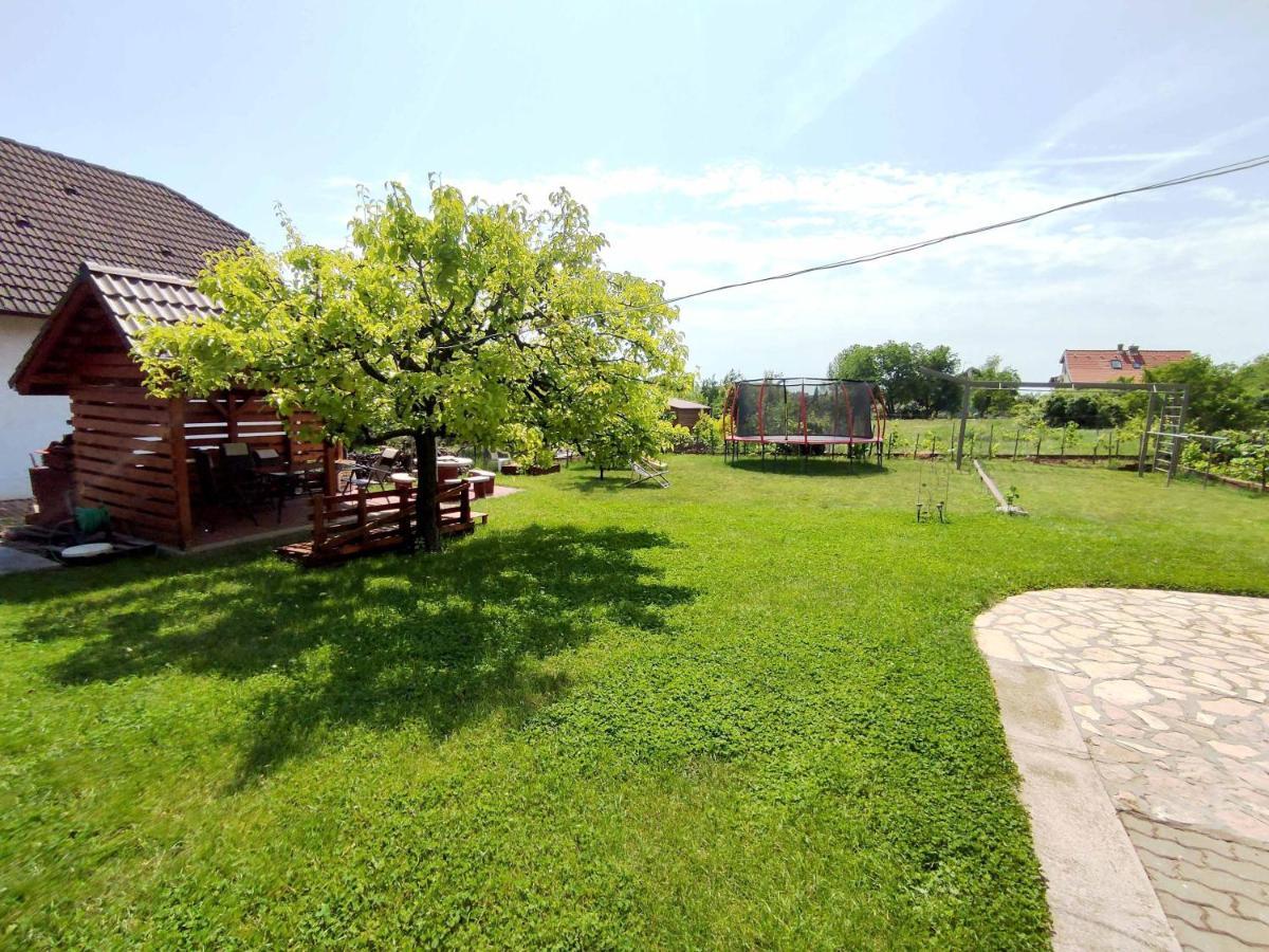 Balaton Apartman ปาลอซนัค ภายนอก รูปภาพ