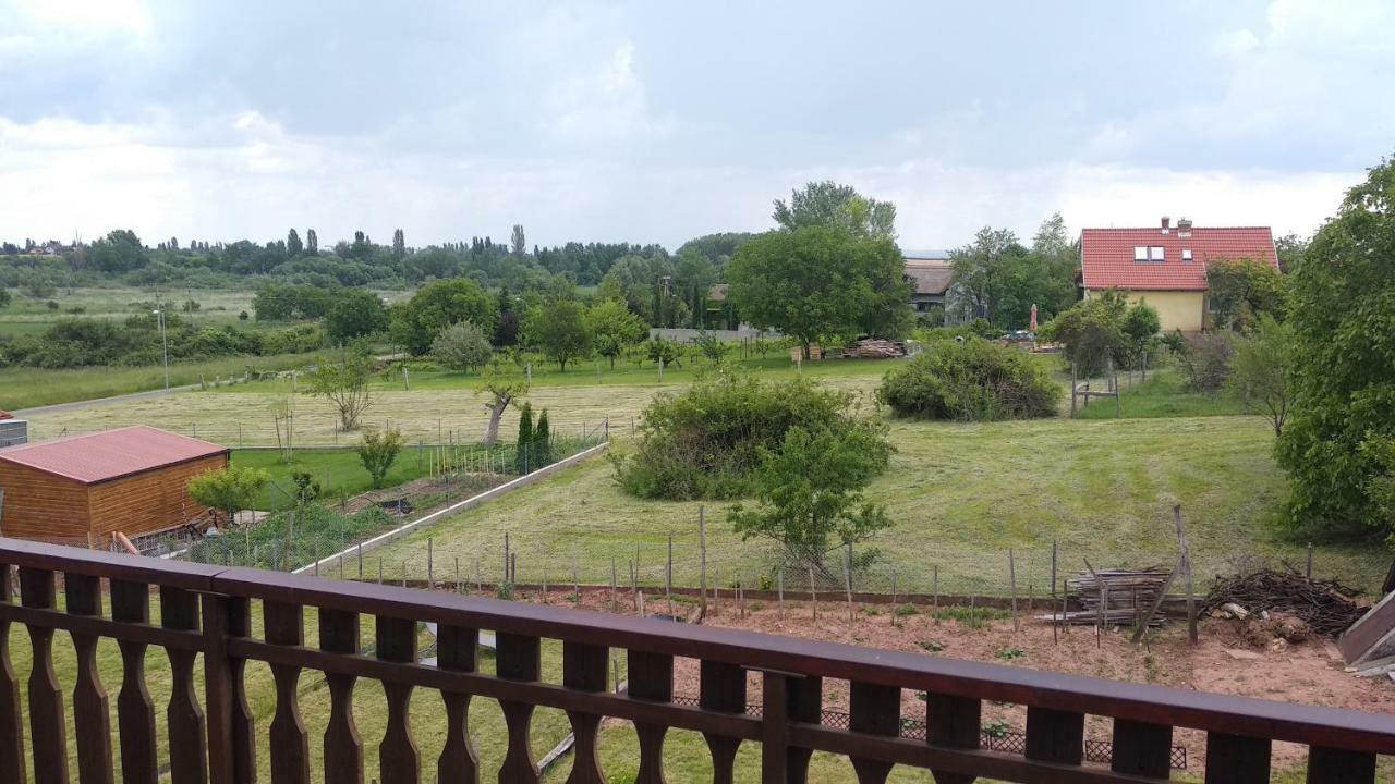 Balaton Apartman ปาลอซนัค ภายนอก รูปภาพ